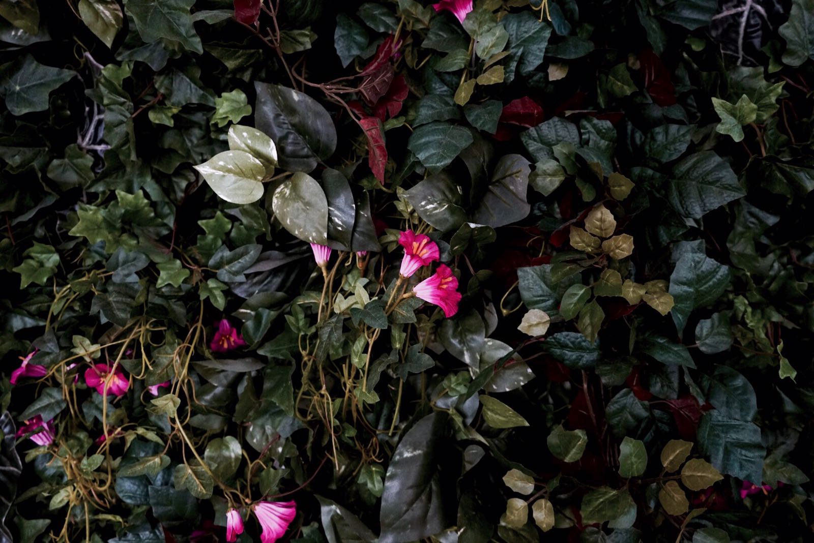 Arctic Light Hotel 20