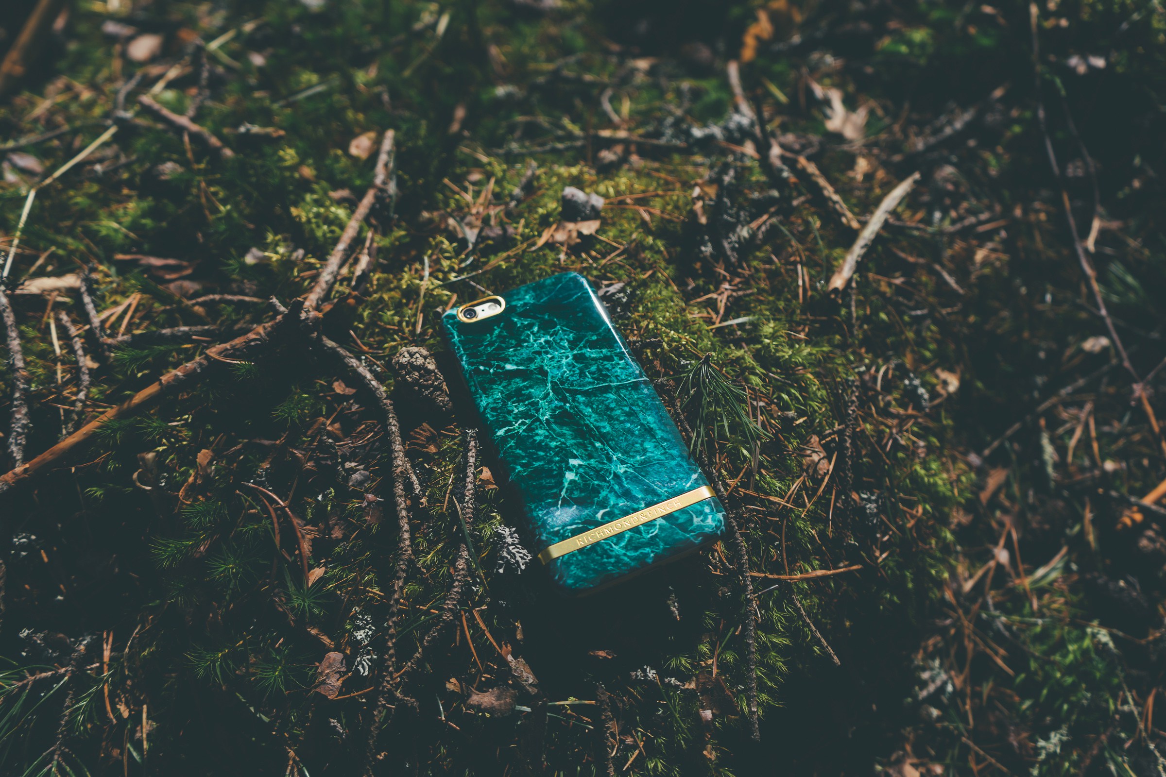 Richmond & Finch.jpg