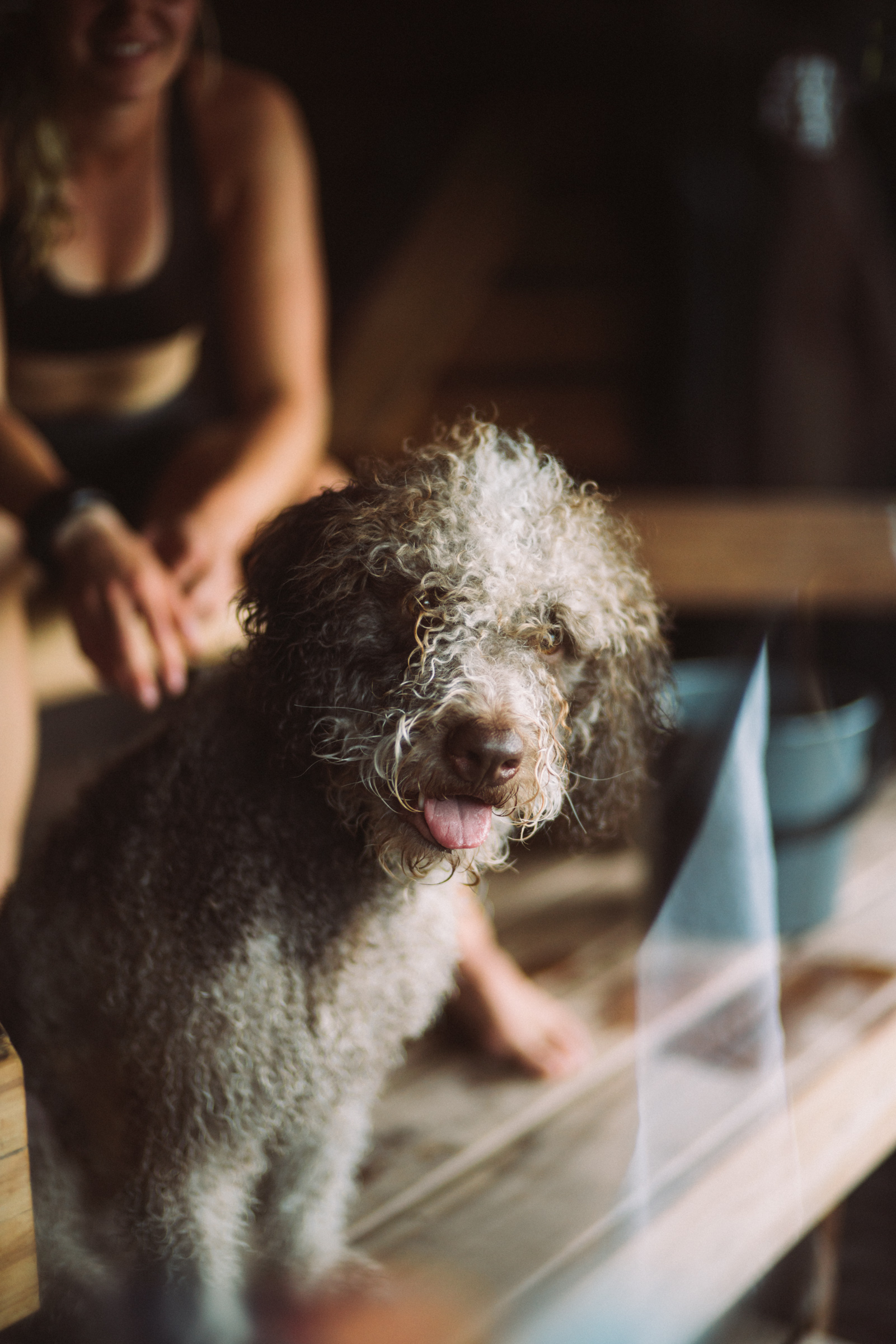 Vuokatin Vesiurheilukeskus 2