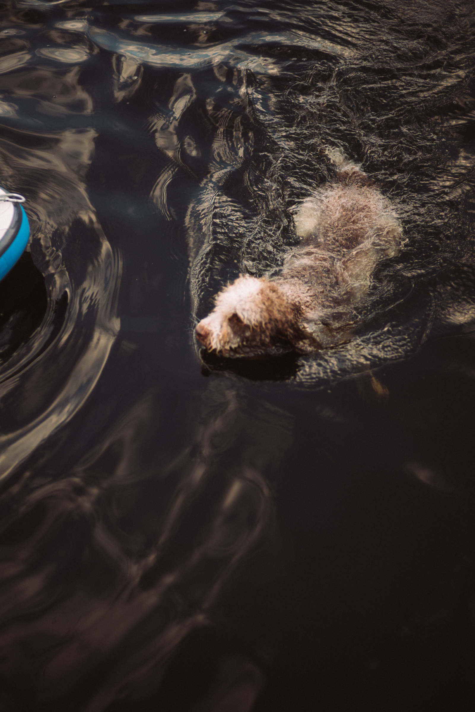 Vuokatin Vesiurheilukeskus 5