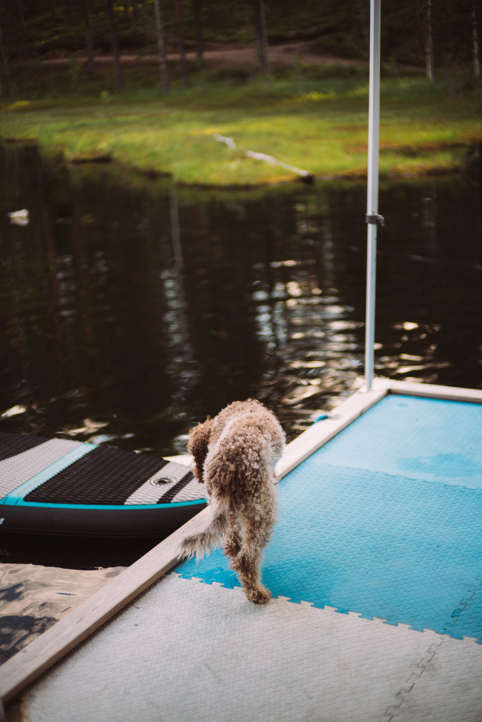 VuokatinVesiurheilukeskus 6